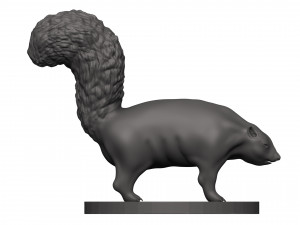 Skunk 3D 打印模型