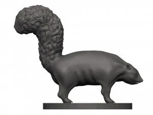 Skunk 3D Print Model
