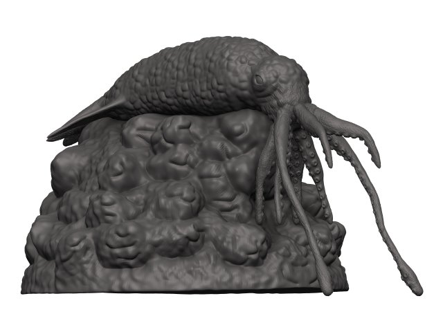 Squid 3D 打印模型 .c4d .max .obj .3ds .fbx .stl .blend 