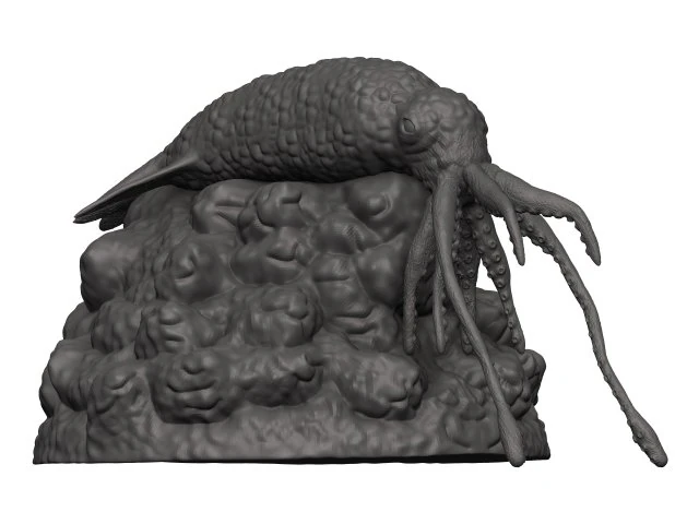 Kałamarnica Model do druku 3D .c4d .max .obj .3ds .fbx .stl .blend 