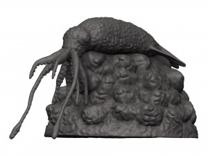 Squid 3D 打印模型