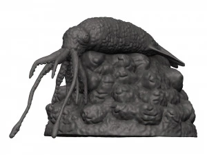 Kałamarnica Model do druku 3D