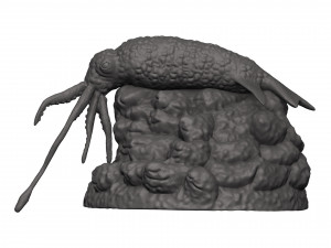 Squid 3D 打印模型