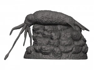 Kałamarnica Model do druku 3D