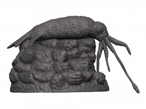 Squid 3D 打印模型