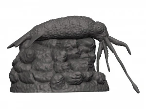 Kałamarnica Model do druku 3D