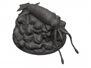 Squid 3D 打印模型
