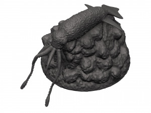 Squid 3D 打印模型