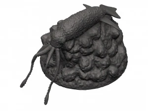 Kałamarnica Model do druku 3D