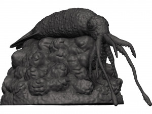 Squid 3D 打印模型
