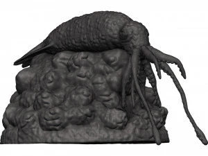 Kałamarnica Model do druku 3D