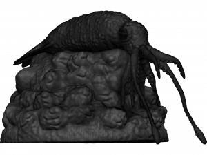 Squid 3D 打印模型