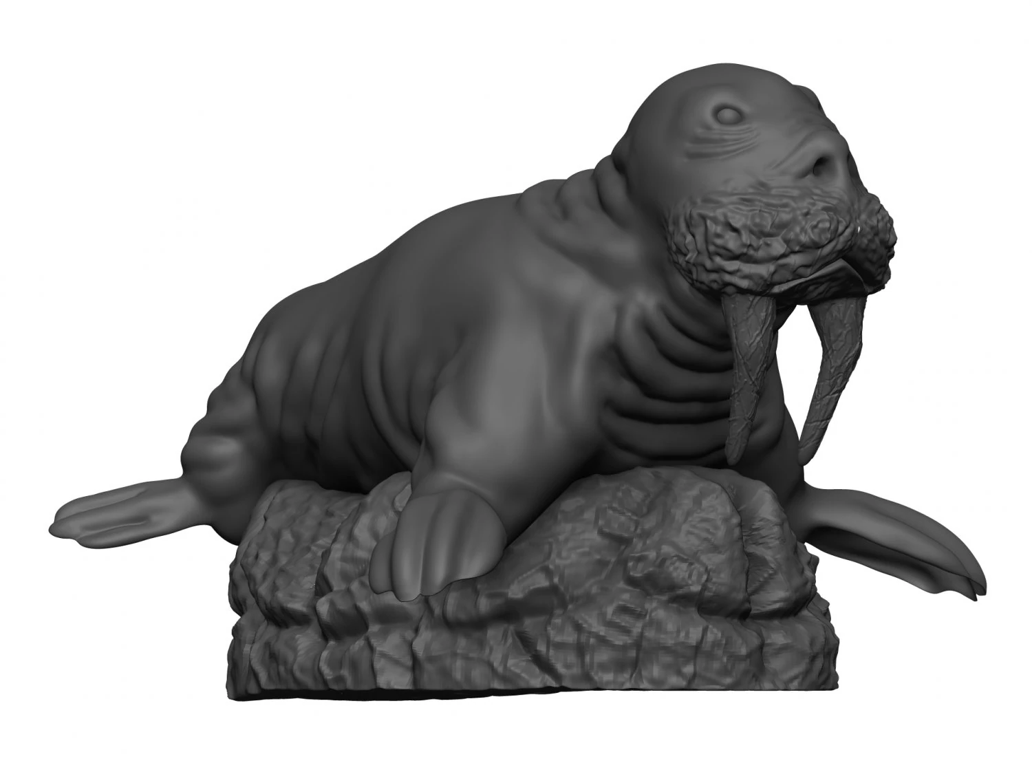 Walrus 3D Print Model .c4d .max .obj .3ds .fbx .stl .blend