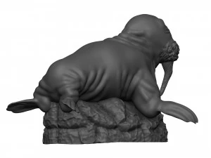 Walrus 3D Print Model