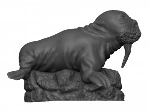 Walrus 3D Print Model