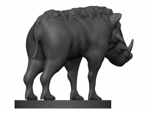 Warthog 3D 打印模型