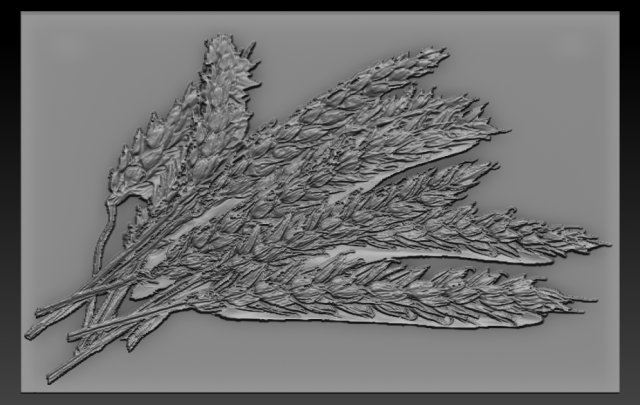 wheat relief Model Cetak 3D .c4d .max .obj .3ds .fbx .stl .blend 