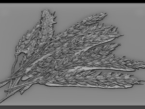 wheat relief Modèles 3D en vedette
