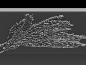 wheat relief Model Cetak 3D