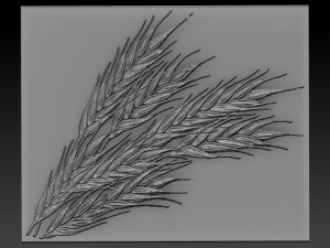 wheat relief 3D Print Model