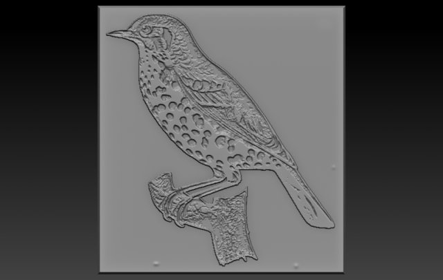 bird relief Modello di stampa 3D .c4d .max .obj .3ds .fbx .stl .blend 