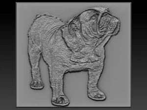 Bulldoggen-Erleichterung 3D Druckmodell