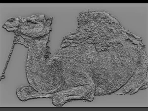 낙타 구호 3D 프린트 모델