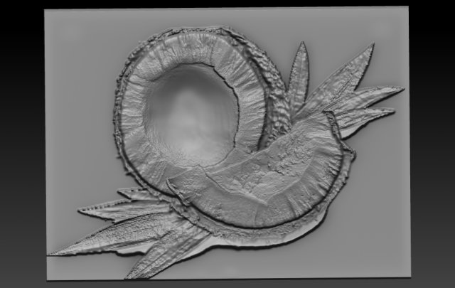 coconut relief 3D Baskı Modeli .c4d .max .obj .3ds .fbx .stl .blend 