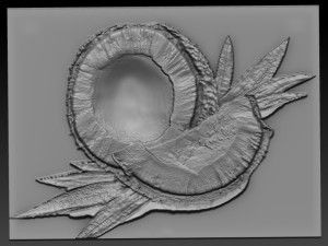 coconut relief Model do druku 3D
