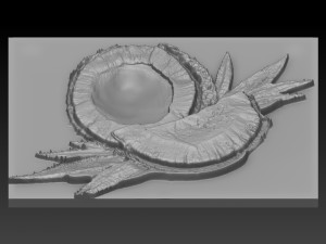 coconut relief 3D Baskı Modeli