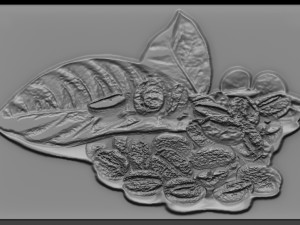 coffee beans relief Model do druku 3D