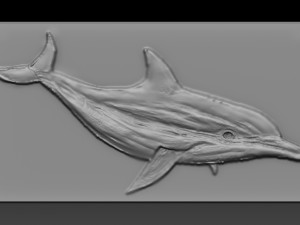 dolphin relief 3D 打印模型