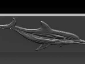 dolphin relief 3D Print Model
