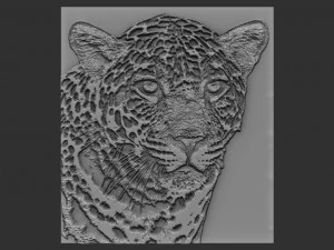 soulagement du l&eacute;opard Modèles 3D en vedette