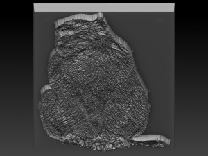 monkey relief 3D Baskı Modeli