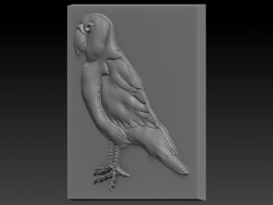 parrot relief Modèles 3D en vedette