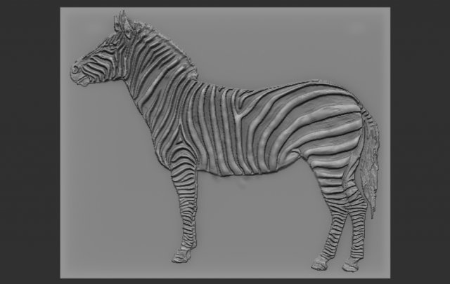 zebra relief 3D 打印模型 .c4d .max .obj .3ds .fbx .stl .blend 