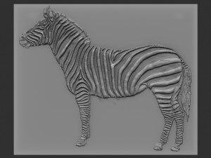 zebra relief Modèles 3D en vedette