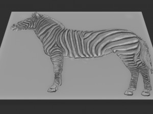 zebra relief 3D 打印模型