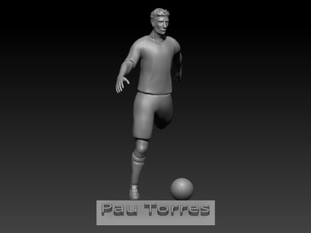 Pau torres 3D-printmodel .c4d .max .obj .3ds .fbx .stl .blend 