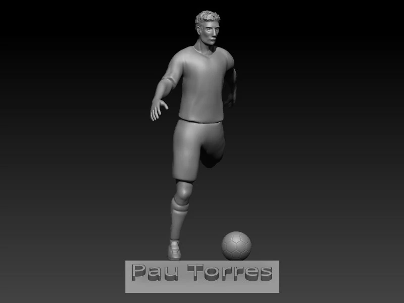 Pau torres 3D Print Model .c4d .max .obj .3ds .fbx .stl .blend 