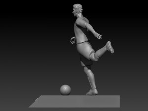 Pau torres 3D-printmodel