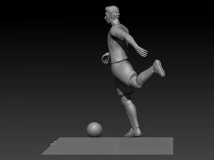 Pau torres 3D Print Model