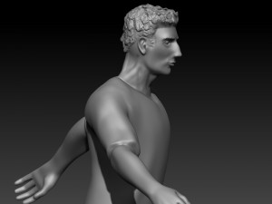 Pau torres 3D-printmodel