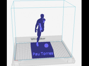 Pau torres 3D-printmodel