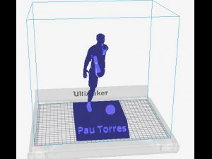 Pau torres 3D Print Model