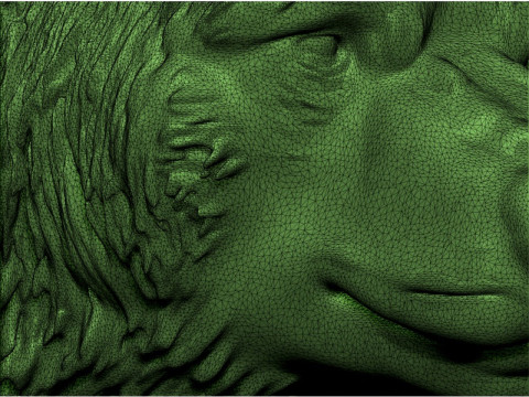 Bear head 3D Print Model