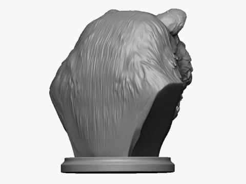 Bear head bust 2 3D Print Model