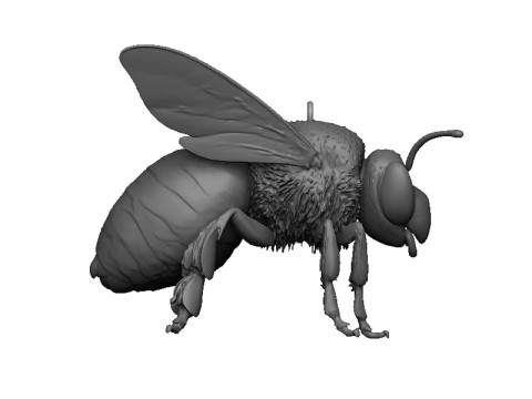 Bee pendant 3D Print Model