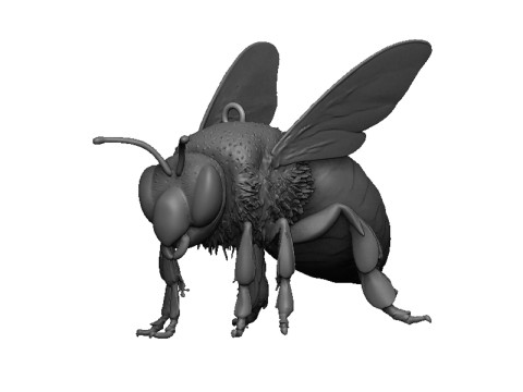Bee pendant 3D Print Model